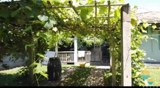 Oportunidade única: Terreno com 1.825m² de frente mar com vista deslumbrante do pôr do sol na Praia do Cascalho em Penha – SC. Ref. 283