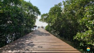 Terreno com 19,5m de frente, próx. da Univille e Instituto Federal de SC em São Francisco do Sul. Ideal para construção de geminados. Ref. 316