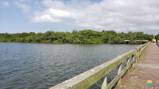 Terreno com 19,5m de frente, próx. da Univille e Instituto Federal de SC em São Francisco do Sul. Ideal para construção de geminados. Ref. 316