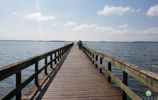 Terreno com 19,5m de frente, próx. da Univille e Instituto Federal de SC em São Francisco do Sul. Ideal para construção de geminados. Ref. 316