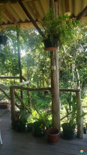 Sítio Encantador com Lagoa e 35 Mil m² de Terreno Produtivo em São João de Itaperiú/SC. Ref. 338