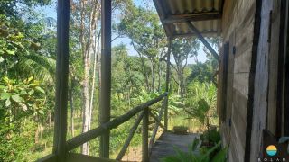 Sítio Encantador com Lagoa e 35 Mil m² de Terreno Produtivo em São João de Itaperiú/SC. Ref. 338