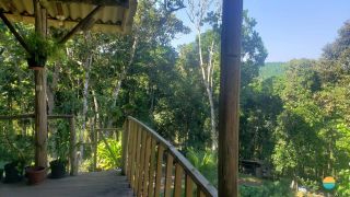 Sítio Encantador com Lagoa e 35 Mil m² de Terreno Produtivo em São João de Itaperiú/SC. Ref. 338