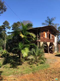 Sítio Encantador com Lagoa e 35 Mil m² de Terreno Produtivo em São João de Itaperiú/SC. Ref. 338