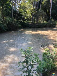 Sítio Encantador com Lagoa e 35 Mil m² de Terreno Produtivo em São João de Itaperiú/SC. Ref. 338