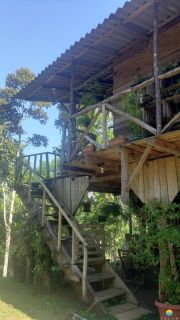 Sítio Encantador com Lagoa e 35 Mil m² de Terreno Produtivo em São João de Itaperiú/SC. Ref. 338