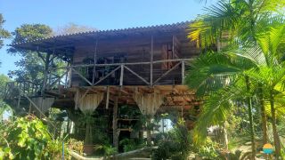 Sítio Encantador com Lagoa e 35 Mil m² de Terreno Produtivo em São João de Itaperiú/SC. Ref. 338