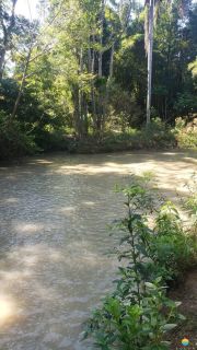 Sítio Encantador com Lagoa e 35 Mil m² de Terreno Produtivo em São João de Itaperiú/SC. Ref. 338