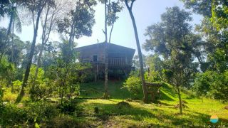 Sítio Encantador com Lagoa e 35 Mil m² de Terreno Produtivo em São João de Itaperiú/SC. Ref. 338