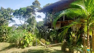 Sítio Encantador com Lagoa e 35 Mil m² de Terreno Produtivo em São João de Itaperiú/SC. Ref. 338