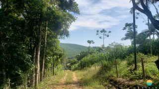 Sítio Encantador com Lagoa e 35 Mil m² de Terreno Produtivo em São João de Itaperiú/SC. Ref. 338