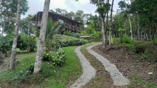 Sítio Encantador com Lagoa e 35 Mil m² de Terreno Produtivo em São João de Itaperiú/SC. Ref. 338