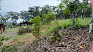 Sítio Encantador com Lagoa e 35 Mil m² de Terreno Produtivo em São João de Itaperiú/SC. Ref. 338