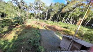 Sítio Encantador com Lagoa e 35 Mil m² de Terreno Produtivo em São João de Itaperiú/SC. Ref. 338