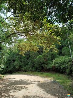 Terreno de 5000m² por R$ 1.500.000,00 em Balneário Camboriú à venda. Ref. 349