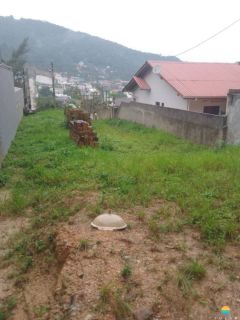 Terreno à venda com 2.254,40m², aprox. 450m da Praia de São Miguel em Penha - SC. Ref. 366