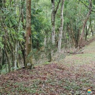 Casa com Terreno de 5076m² com vista para Baía de Armação do Itapocorói. Ref. 126