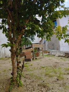 Casa para venda ou locação, com 5 quartos, sendo 2 suítes no bairro Palmeira em Campina Grande