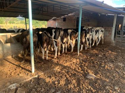 Fazenda à venda em Iaiti, Pernambuco