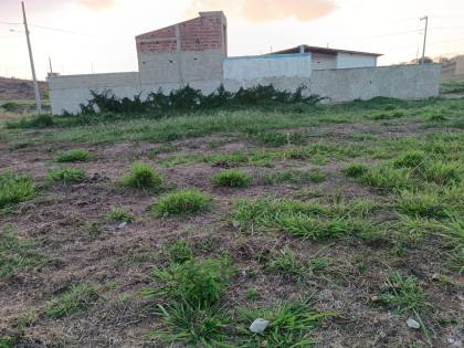 Terreno à venda na Vila Maria da Luz
