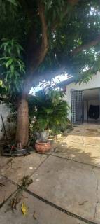 Casa À Venda - Senador Area Leão