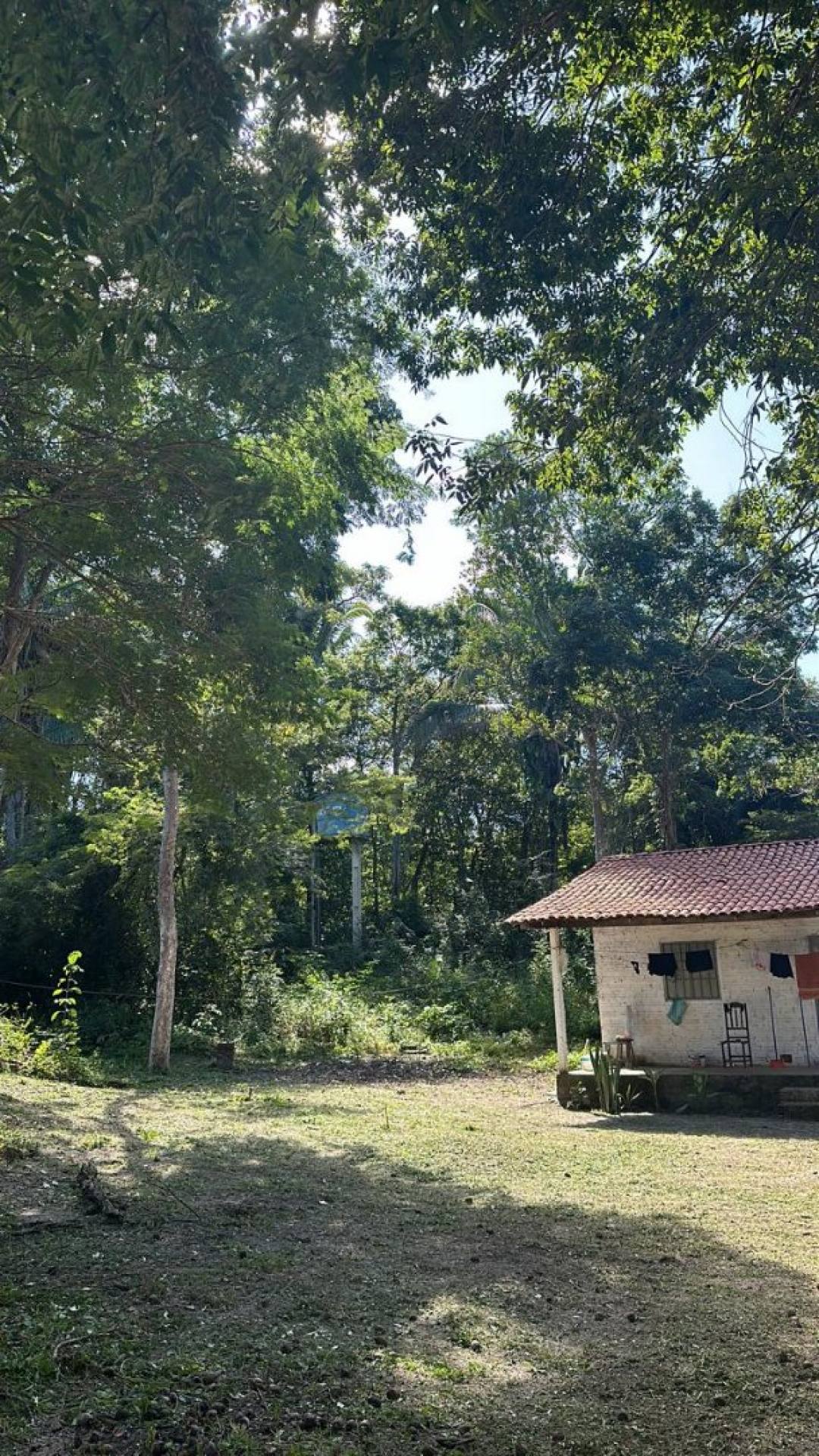 SITIO NO SENTIDO DE ALTOS 2 HECTARES