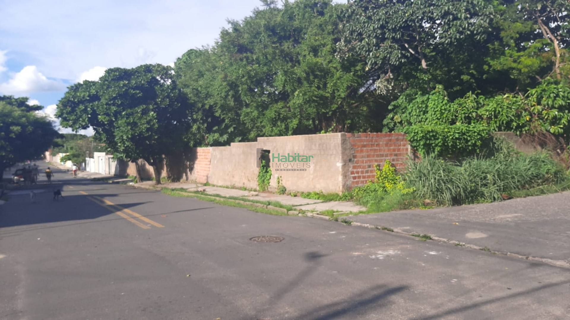 Lote/Terreno Para Venda No Parque Planalto Ininga