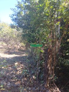 Lote / Terreno À Venda No Bairro - Soturno