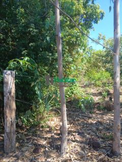 Lote / Terreno À Venda No Bairro - Soturno