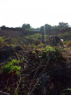 Lote De Terreno à Venda Próximo a BR-343