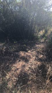 Lote De Terreno à Venda Próximo a BR-343