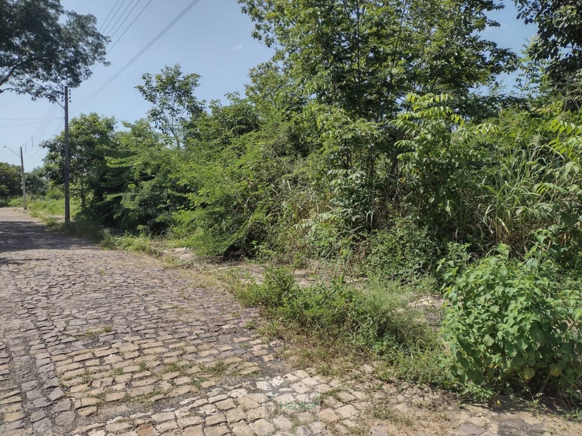 Lote / Terreno Para Vender No Bairro Portal Da Alegria