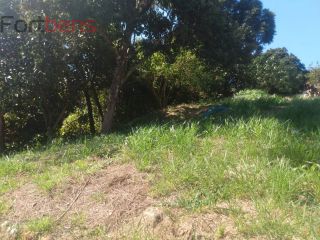 Lote / Terreno de Bairro Para Vender no bairro Parque vitória  em Franco Da Rocha