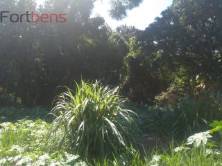 Lote / Terreno de Bairro Para Vender no bairro Parque vitória  em Franco Da Rocha