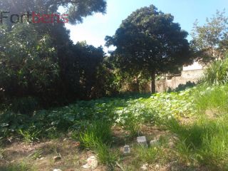 Lote / Terreno de Bairro Para Vender no bairro Parque vitória  em Franco Da Rocha