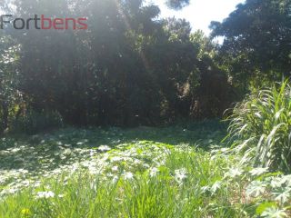 Lote / Terreno de Bairro Para Vender no bairro Parque vitória  em Franco Da Rocha