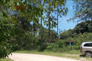 Fazenda Para Vender com 2 quartos no bairro Estação em Juquiá
