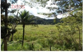 Sítio Para Vender no bairro Cachoeirinha em Juquiá