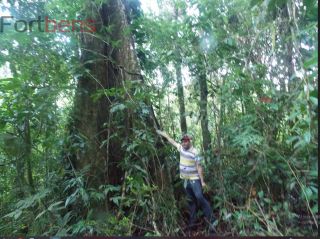 Sítio Para Vender com 2 quartos no bairro Jardim Santa Maria em Juquiá