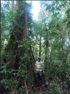 Sítio Para Vender com 2 quartos no bairro Jardim Santa Maria em Juquiá