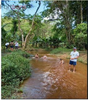 Sítio Para Vender com 2 quartos no bairro Jardim Santa Maria em Juquiá