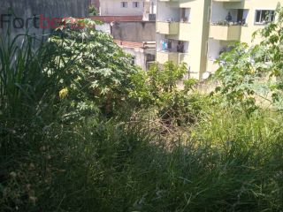 Lote / Terreno de Bairro Para Vender no bairro Perus em São Paulo