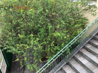 Sobrado Para Vender com 4 quartos no bairro Vila Maggi em Franco Da Rocha