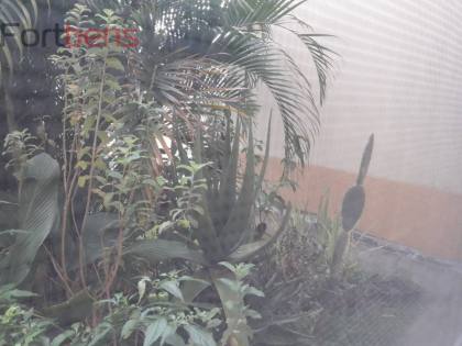 Apartamento Para Vender com 2 quartos no bairro Morro Grande em Caieiras