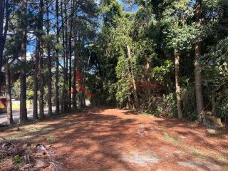 Imóvel Comercial Para Vender no bairro Santa Inês em Caieiras