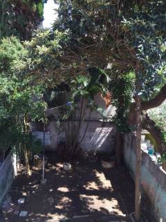 Sobrado com 3 dormitórios à venda, 241 m² por R$ 1.800.000,00 - Mirandópolis - São Paulo/SP