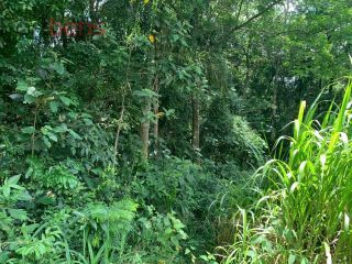 5 Lotes /  Ou Terreno Total com 7.266m²  Para Vender Dentro do Condomínio Alpes de Caieiras