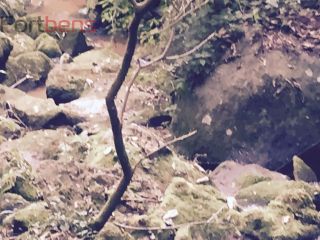 Casa Para Vender com 3 quartos 3 suítes no bairro Santa Inês em Caieiras