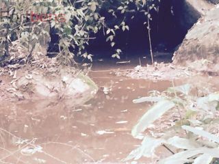 Casa Para Vender com 3 quartos 3 suítes no bairro Santa Inês em Caieiras