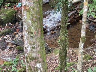 Casa Para Vender com 3 quartos 3 suítes no bairro Santa Inês em Caieiras